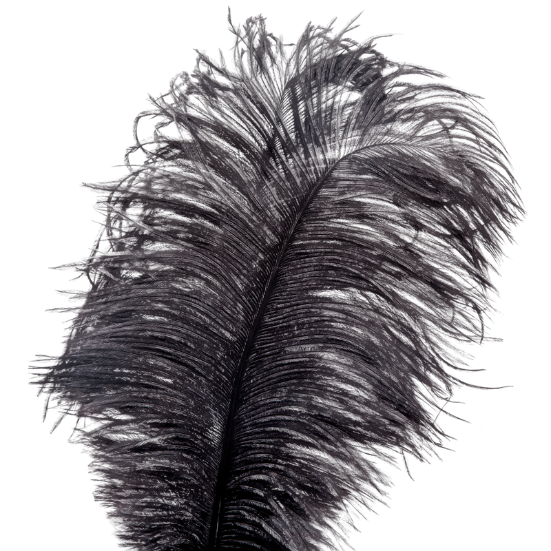 Bondage - La Vie Nue Showgirl Feather Tickler head